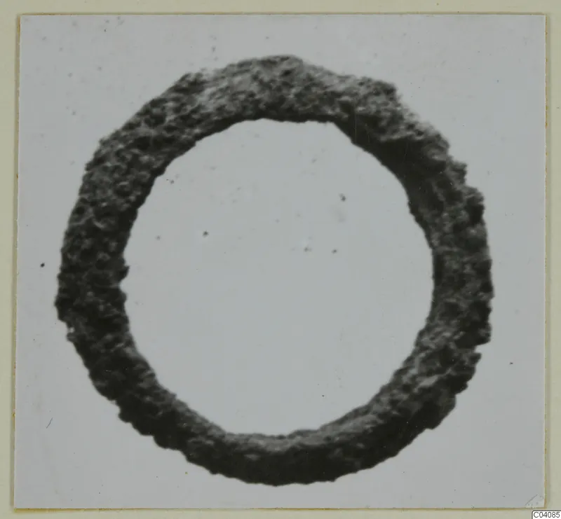 Silver ring from Marion, shown face-on against a pale background