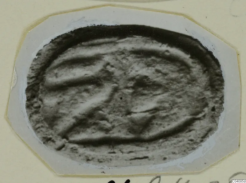 Oval object with a raised pattern of ridges, photographed on a pale card mount, from Marion