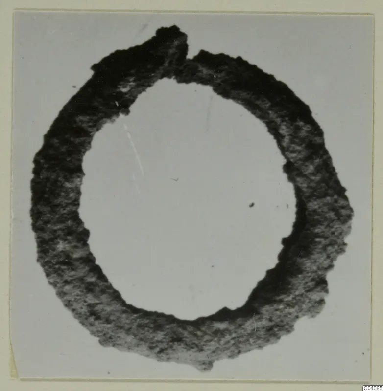 Ring from Marion: a thick, dark, corroded ring shown flat against a pale grey background.