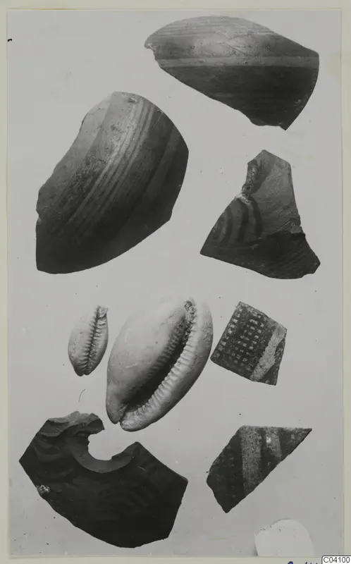 Pottery sherds and cowrie-type shells from Arsos, shown together on a pale background.