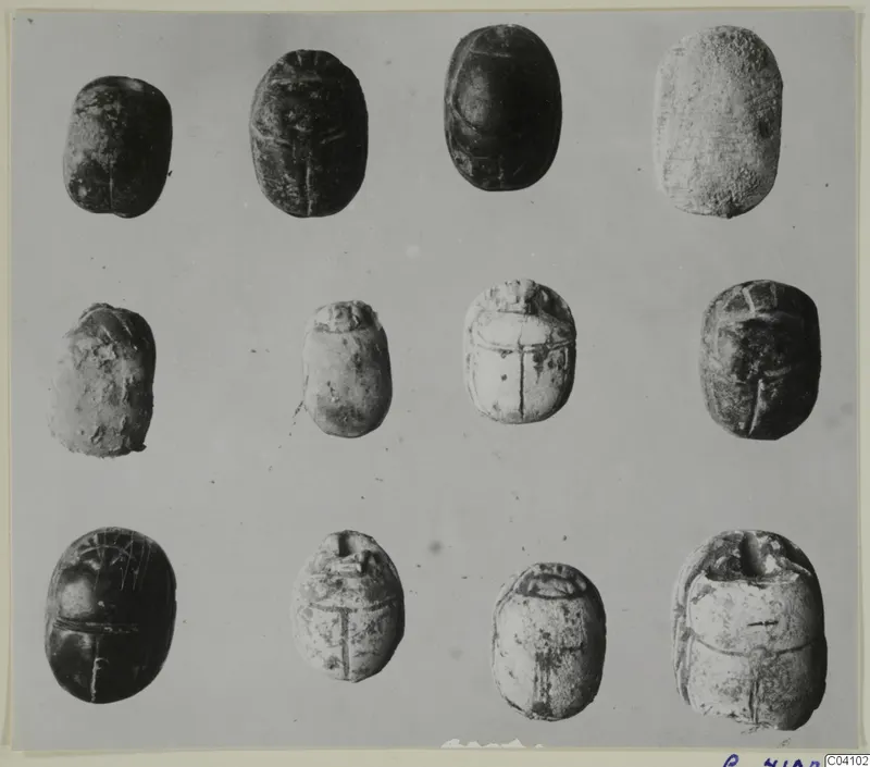 Several scarab-shaped stones with incised patterns, from Arsos, arranged in rows on a grey background.