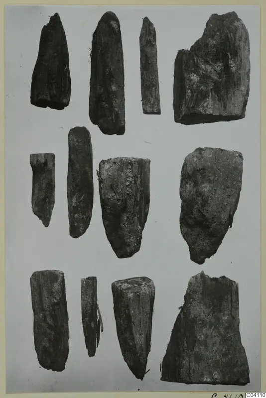 About a dozen dark, weathered fragments arranged in three rows on a pale ground, from Amathus