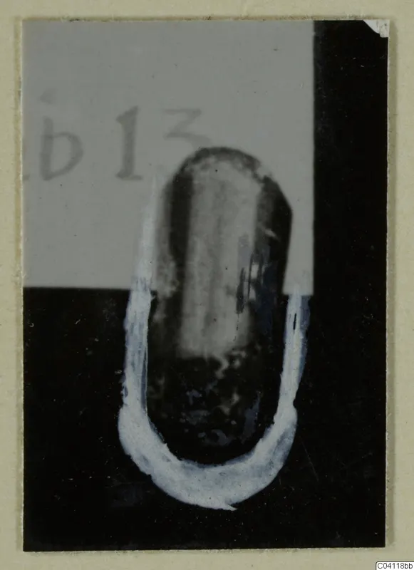 Find from Amathus T. 2-26: a dark rounded object with a white painted outline