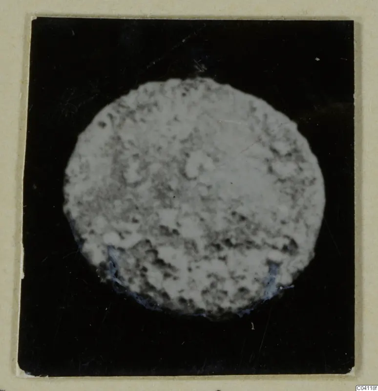 Round, mottled grey disc on a black card, from Amathus; shown as an imperial coin