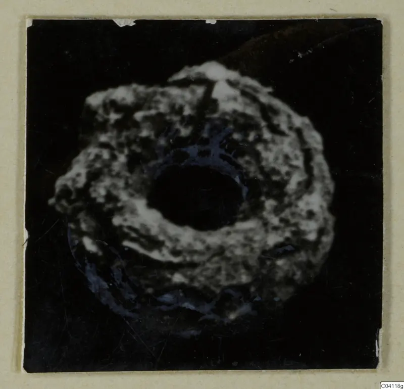 Ring-shaped find with a large central hole, from Amathus, photographed against black