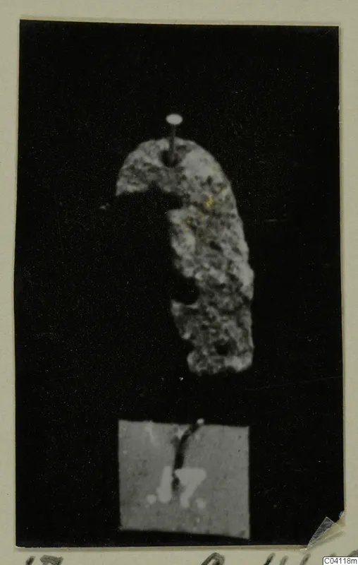 Irregular curved fragment of a find from Amathus T. 2-26, pinned against a black background