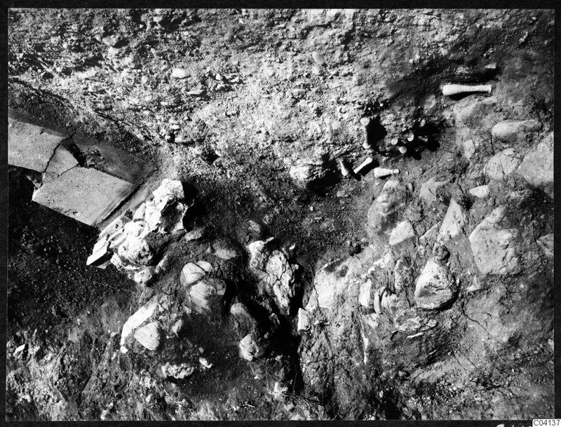 Finds in situ during excavation at Cholades, Soli: pale rod-shaped objects, stone slabs and rubble in the soil
