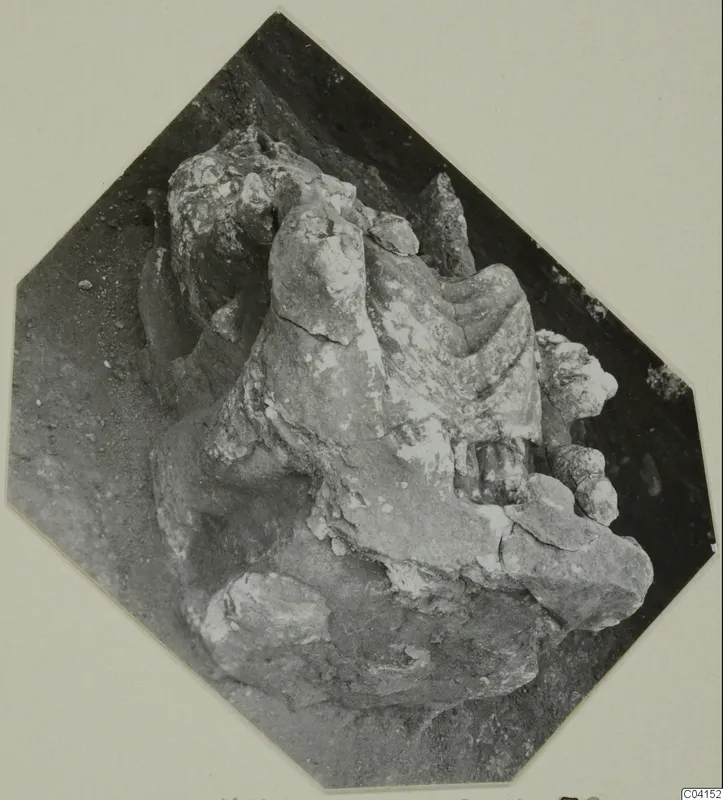Weathered stone sculpture fragment from Soli, resting on soil.