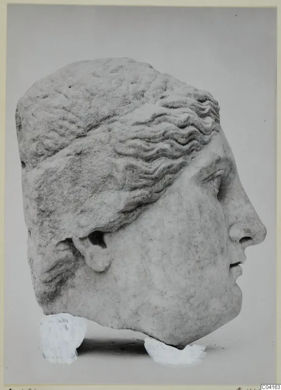 Marble sculpture of a head in profile facing right, from Soli