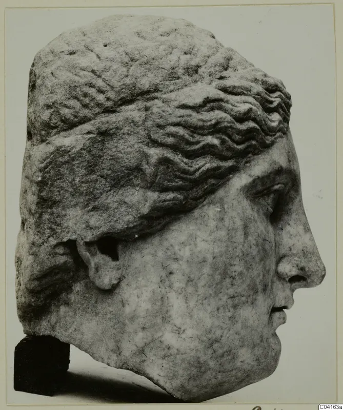 Marble sculpture of a head in profile facing right, with wavy hair carved over the forehead and a roughly worked back