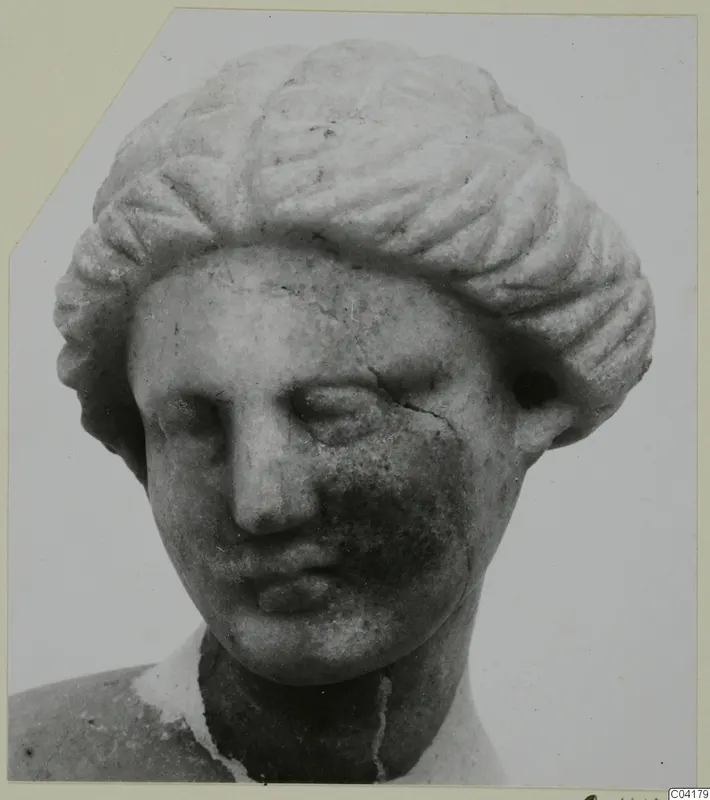 Marble head with wavy hair swept back, the face cracked and the neck broken off, photographed against a pale background.