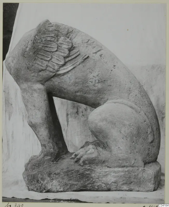 Stone sculpture of a crouching winged animal from Soli, shown against a white cloth backdrop