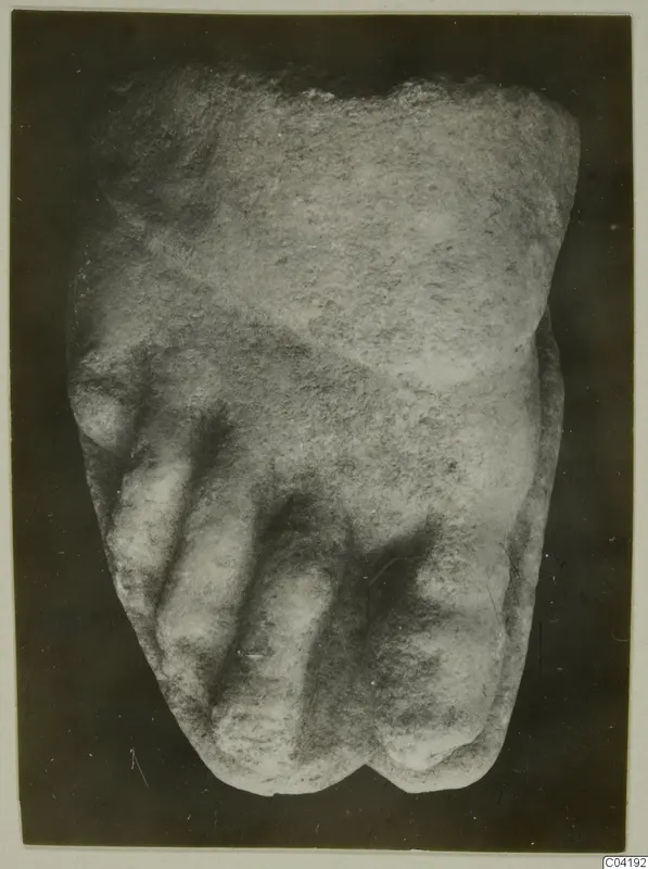 Marble sculpture fragment, possibly a foot with toes, from Soli, photographed against a dark ground