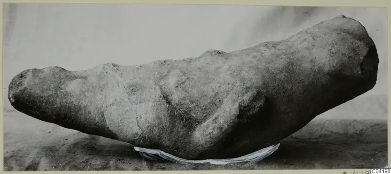Marble sculpture fragment from Soli, an elongated carved stone piece with a rounded broken end, lying on a plain surface