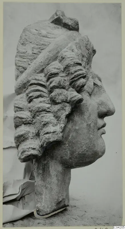 Stone head from a statue from Soli, shown in profile facing right.
