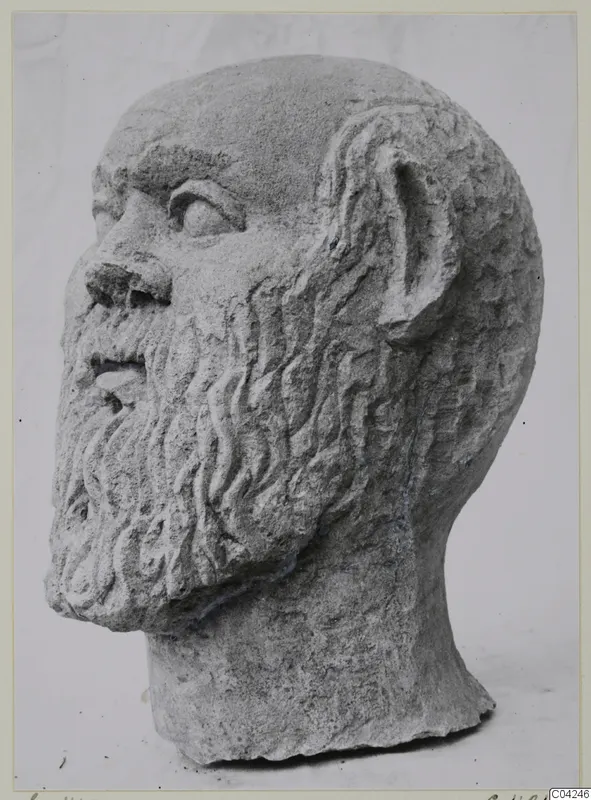 Bearded male head in limestone, turned to the right, with a broken neck.
