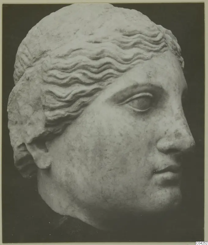 Marble sculpture of a head with wavy hair, from Soli, photographed against a dark background.