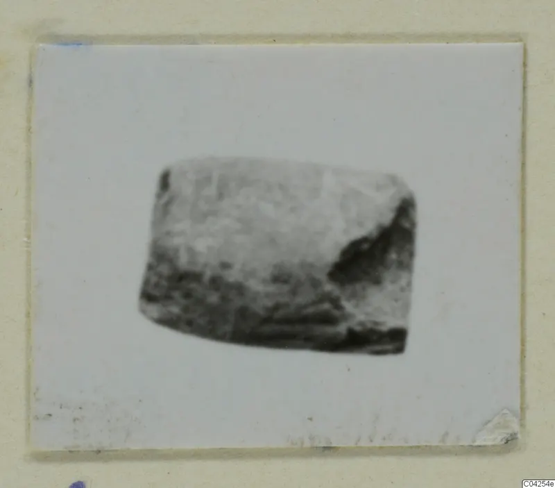 Blurred photograph of a small grey object, possibly bone, mounted on a pale card