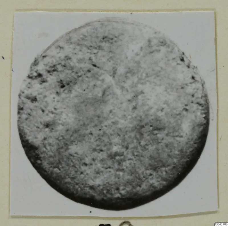 Round, pitted disc-shaped find from Amathus, photographed on a card mount