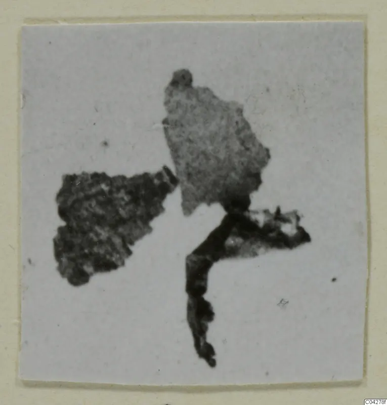 Dark, irregular fragments from Amathus, shown in a small photograph on a card mount