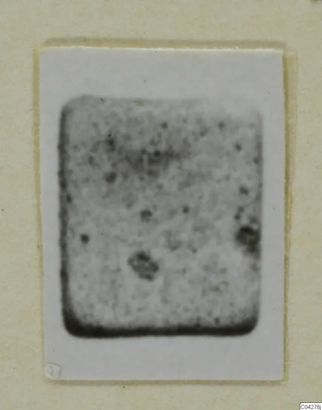 Small blurred photograph of a find from Amathus, mounted on a cream card