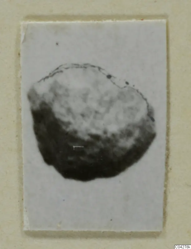 Blurred photograph of a rounded find from Amathus, mounted on a pale card.