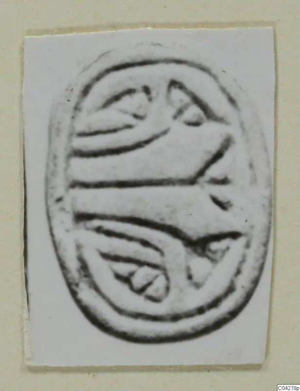 Glyptic from Amathus: an engraved oval seal, photographed on a white card mount