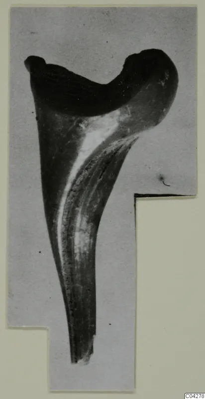 Single curved find with a broad hooked top and long tapering stem, from Amathus tombs 1-9