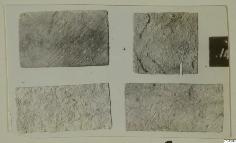 Four flat grey fragments laid out on a white card, recorded as bone from Amathus