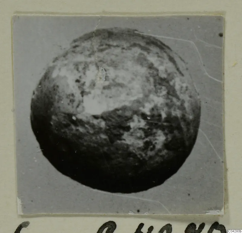 Rounded find, recorded as a bone, from Amathus, shown close up on a grey mount