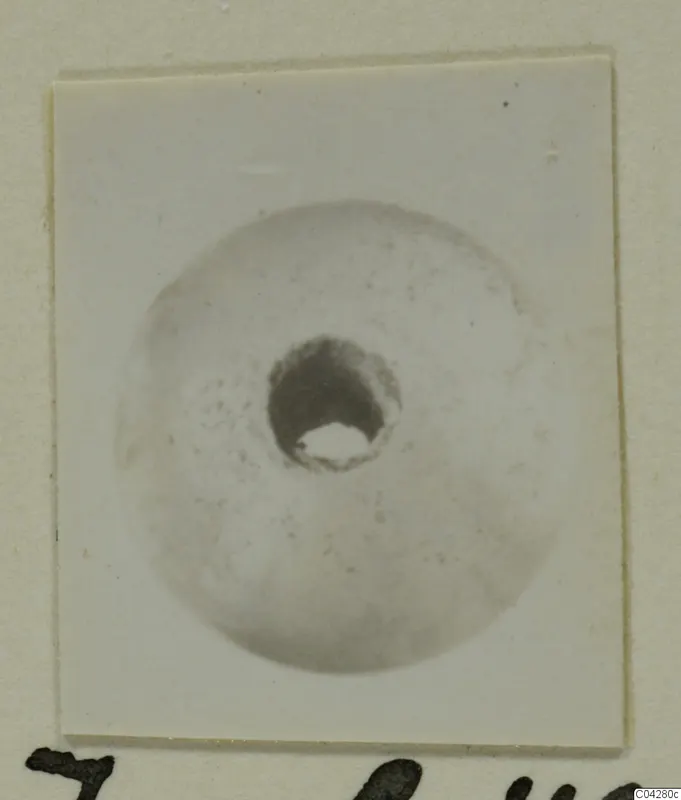 Pale rounded object with a central hole, shown on a white card mount, from Amathus