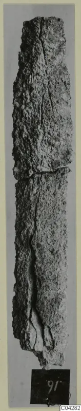 Long corroded iron tool from Amathus, photographed upright against a grey background.