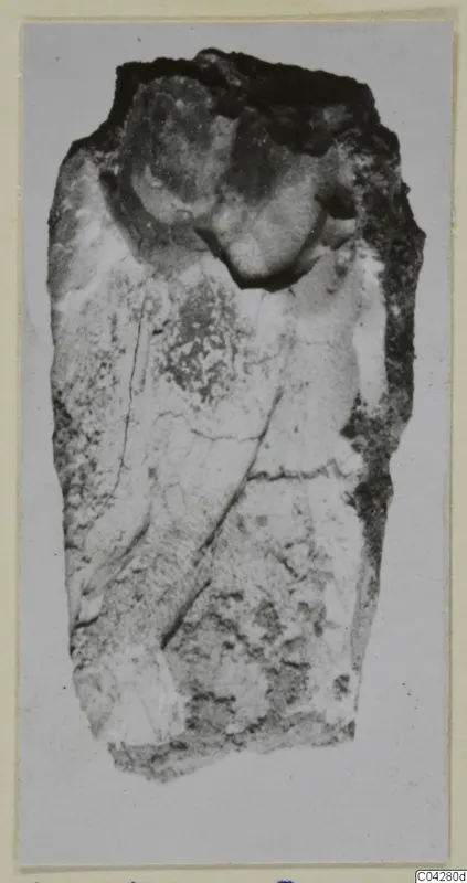 Weathered elongated fragment from Amathus with a rounded upper end and broken, crusted edges, shown on a grey ground