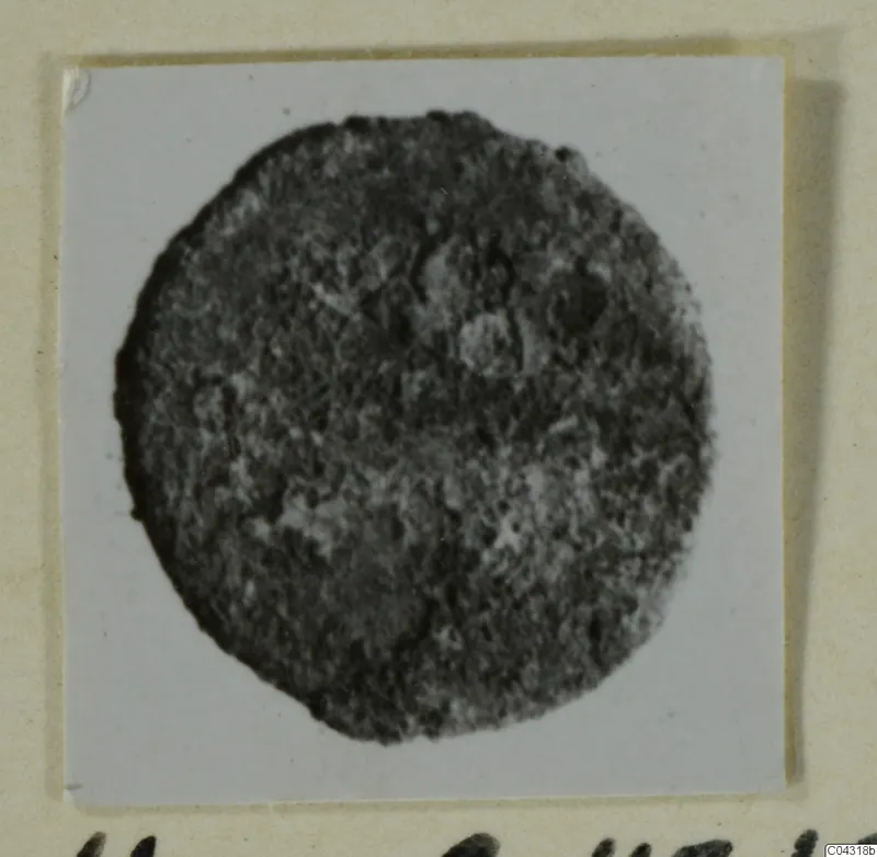 Round, dark find from Amathus, photographed on a pale card mount.