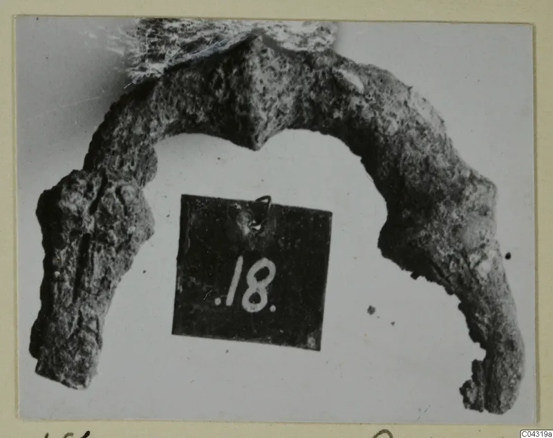 Corroded bronze arc-shaped object from Amathus, a personal adornment, photographed with a small number label beside it.