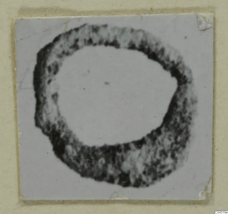 Ring-shaped find from Amathus, shown as a dark, mottled loop on a pale card