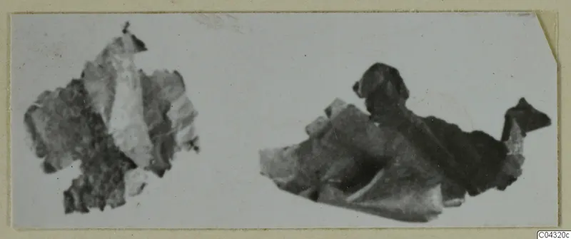 Two broken fragments of finds from Amathus, photographed side by side on a mounted print