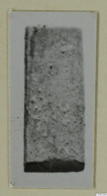 Rectangular bone fragment from Amathus, shown as a photograph mounted on a card.