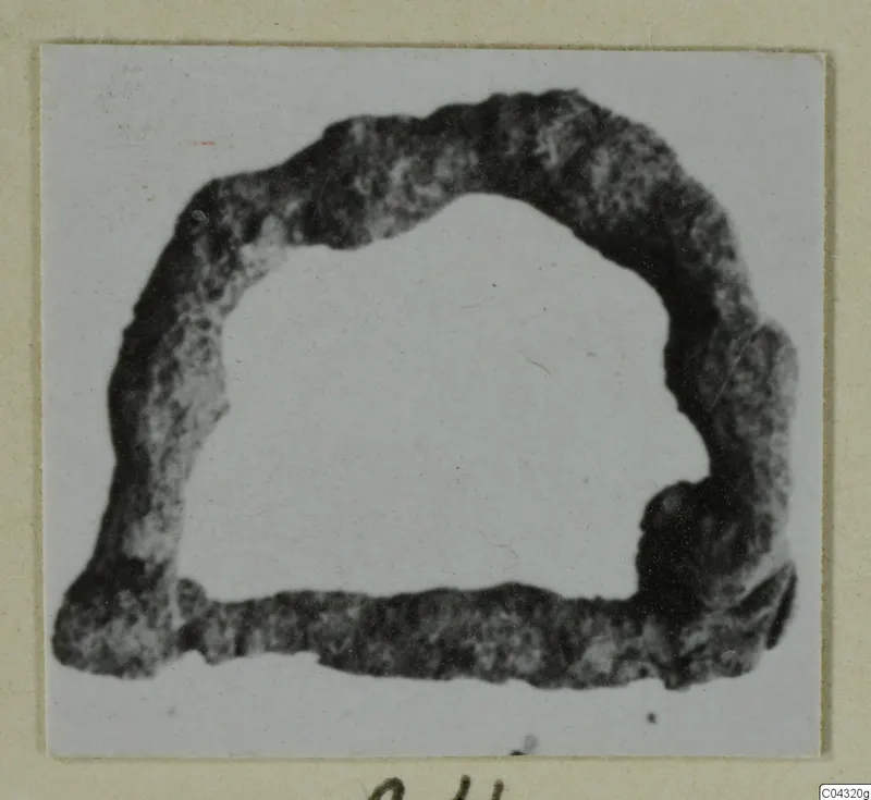 Dark, mottled ring-shaped find from Amathus, shown on a mounted card