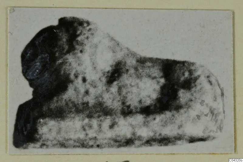 Broken find from Amathus, photographed on a cream card mount with a plain margin