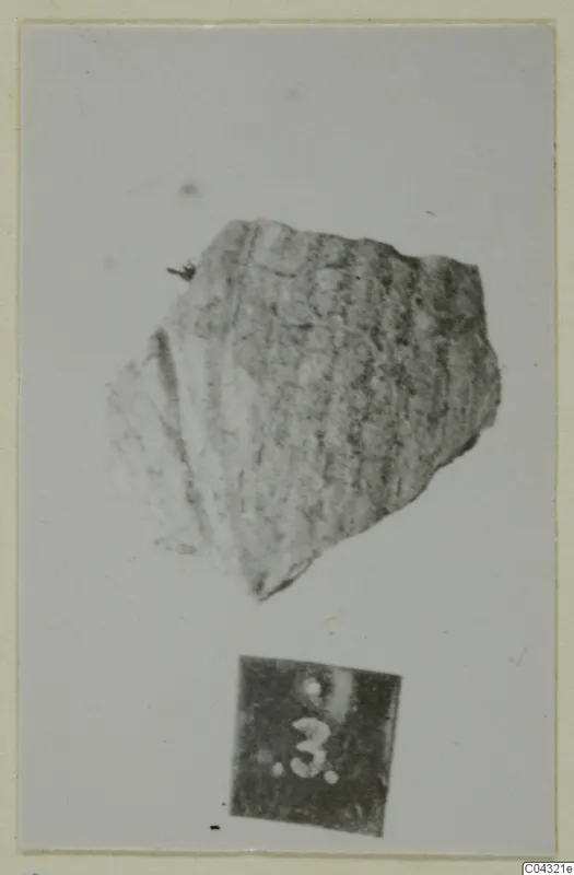 Faience fragment from Amathus with a ridged surface, photographed against a plain background