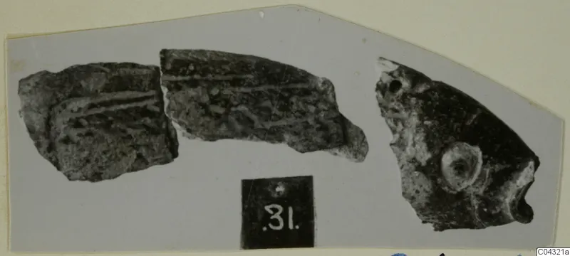 Three broken fragments of a dark object with pale bands, beside a black number label.