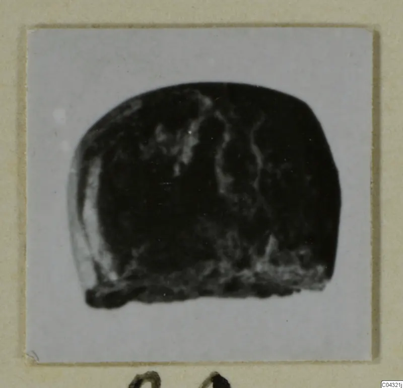 Dark stone object from Amathus, photographed on a pale grey card mount