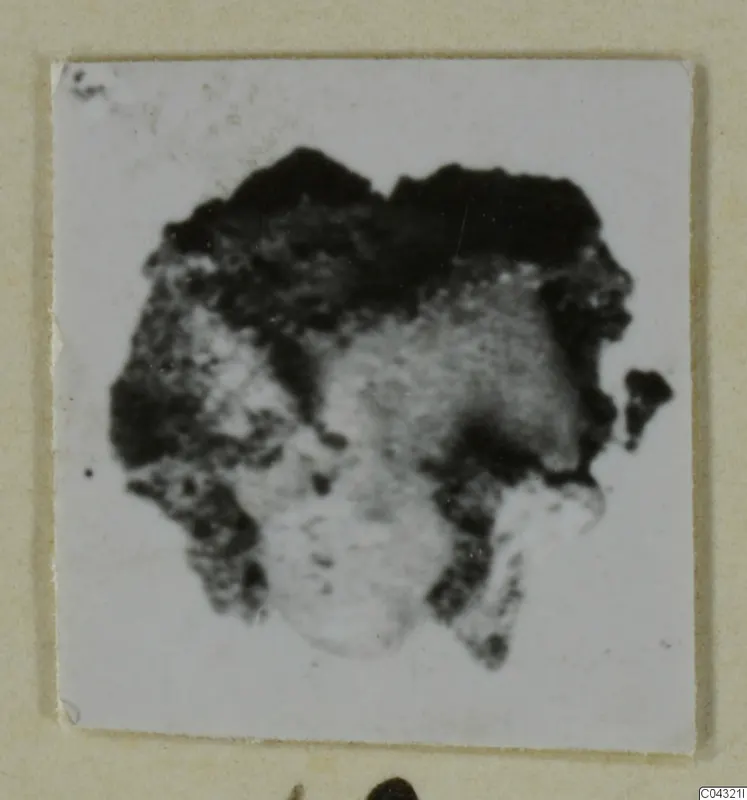 Blurred photograph of an unidentified find from Amathus, tombs 2-26, mounted on a pale card