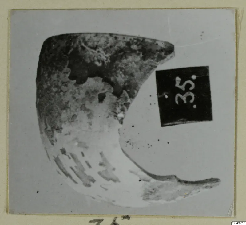 Crescent-shaped faience fragment beside a number label, from Amathus tombs