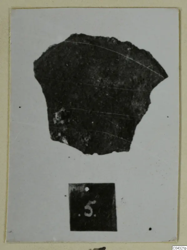 Dark pottery sherd on a pale background beside a number label, from Amathus