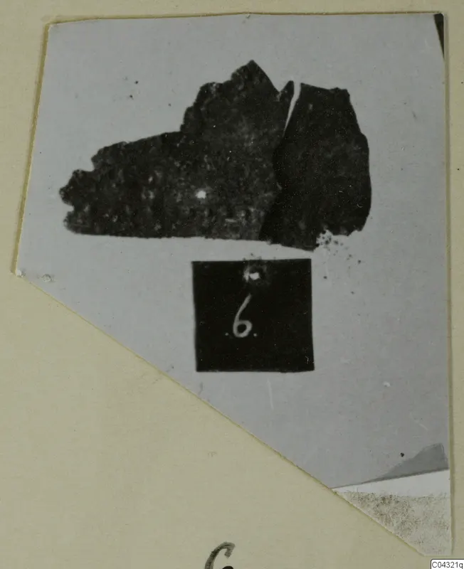 Dark, broken fragment from Amathus T. 2-26 with a number label, shown in a photograph mounted on grey card.