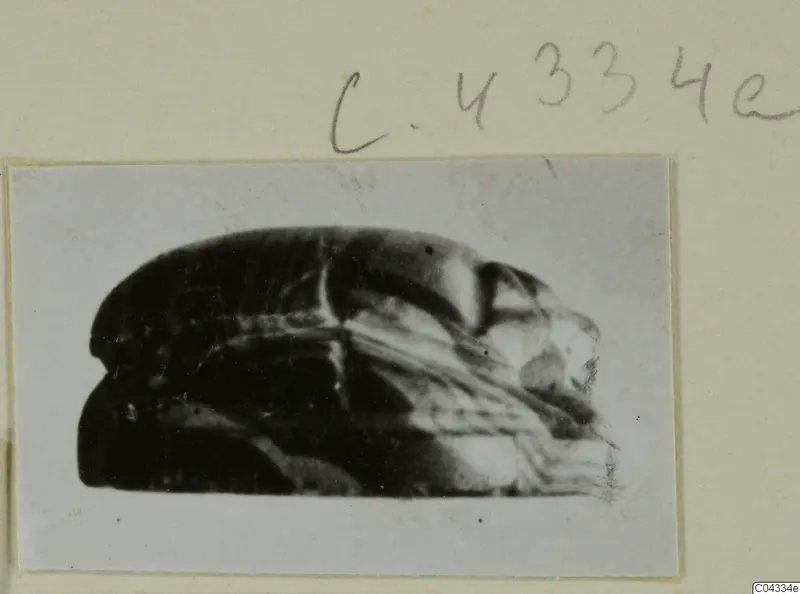 Glyptic A.I. 2223, a dark glossy scarab-type seal shown in side view