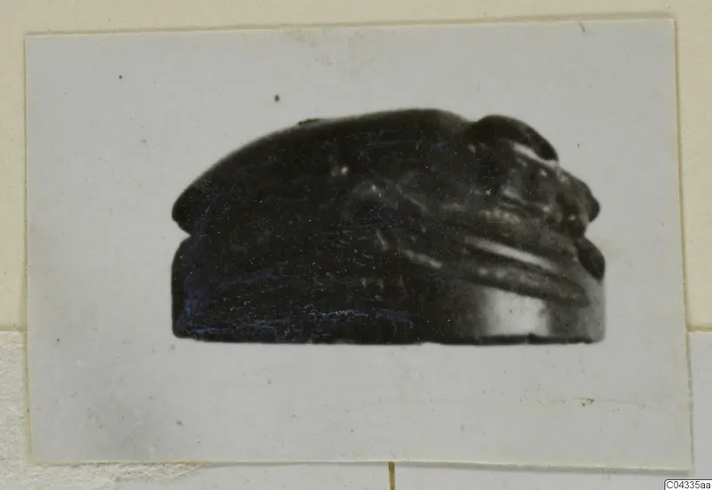 Glyptic: a dark stone scarab seen from the side, shown as a mounted photograph print