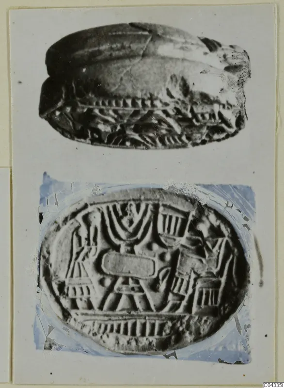 Two photographs of a scarab seal on a card: its domed back above and its carved oval base below.